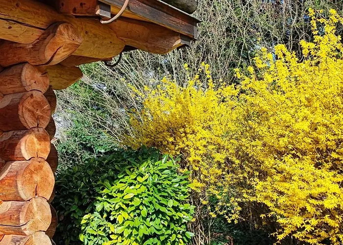 Les Chalets De Maramour
